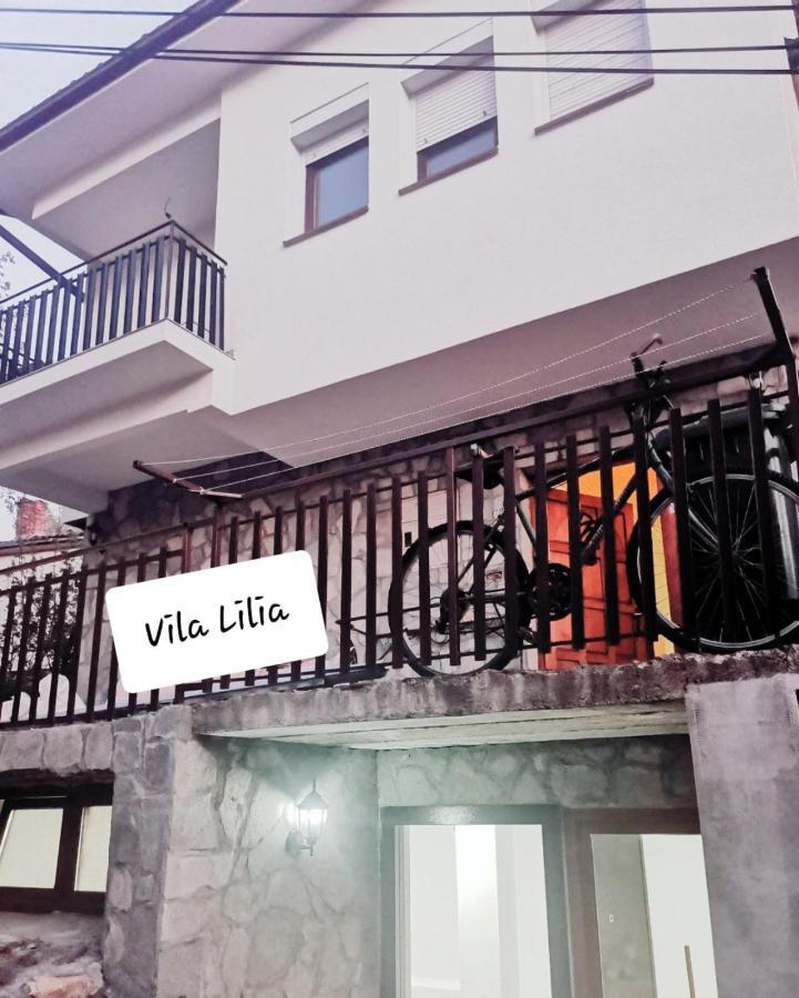 Lake View Apartment Ohrid Kültér fotó